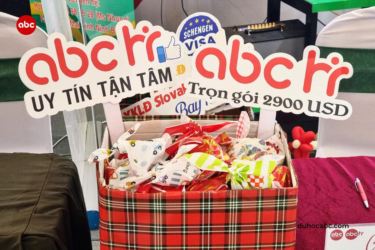 abc-la-nha-tai-tro-kim-cuong-cho-trien-lam-ninh-binh-12