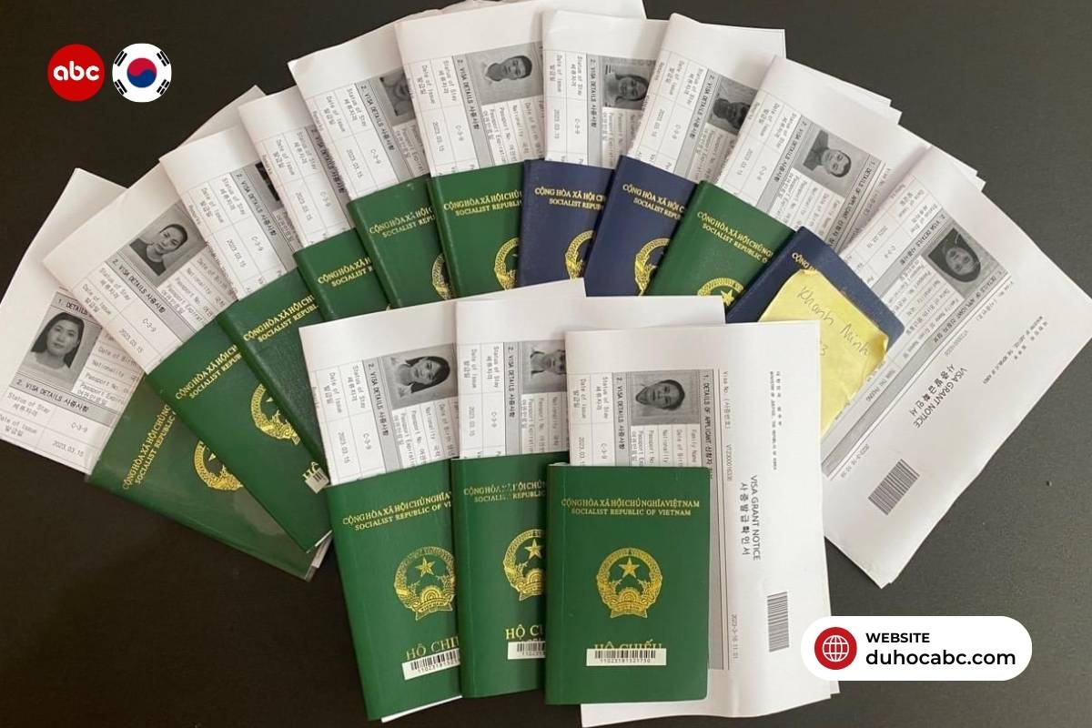 visa-d2-6-han-quoc-la-gi-cach-xin-visa-du-hoc-he-trao-doi-4