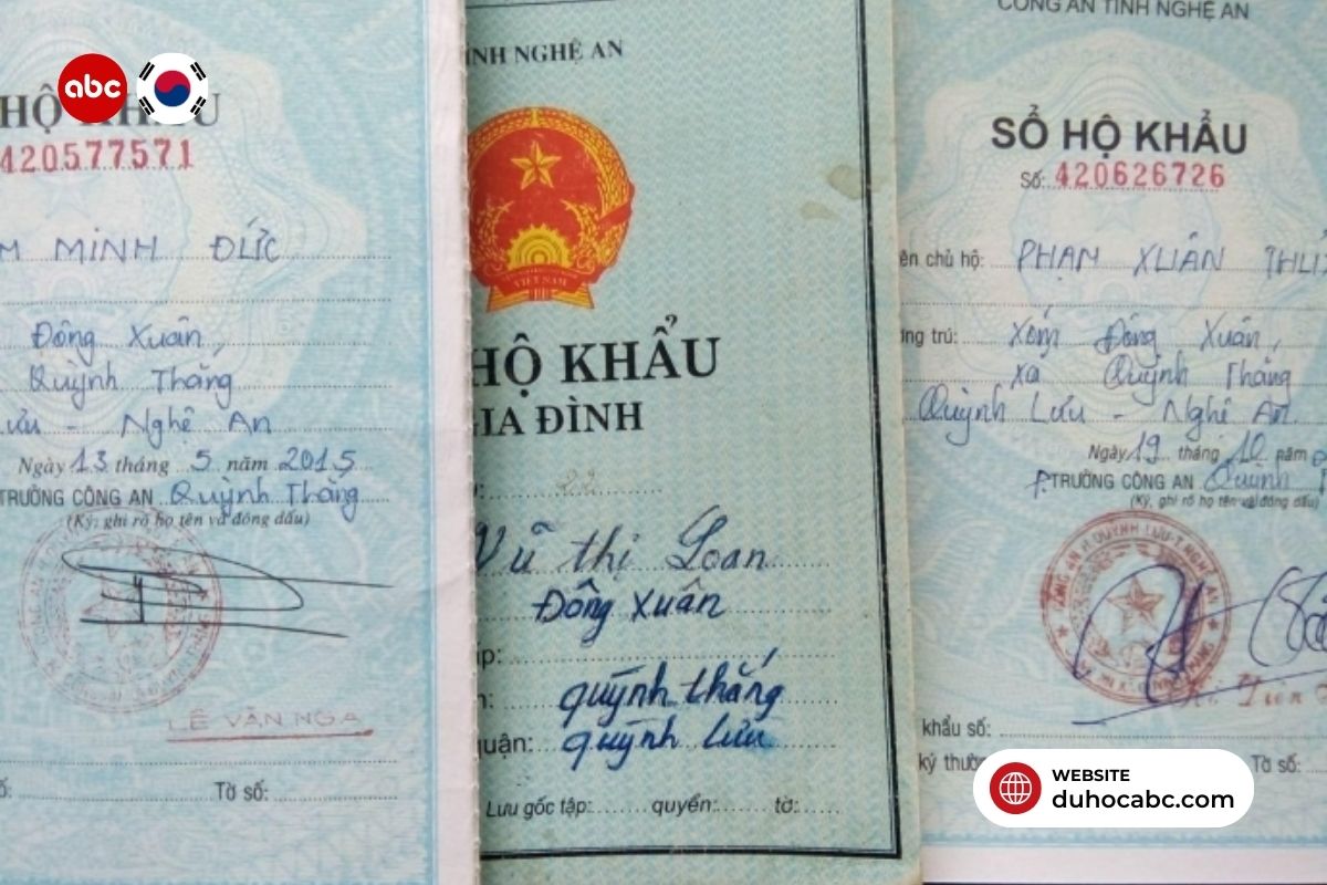 tranh-ngay-5-ly-do-truot-visa-du-hoc-han-quoc-4