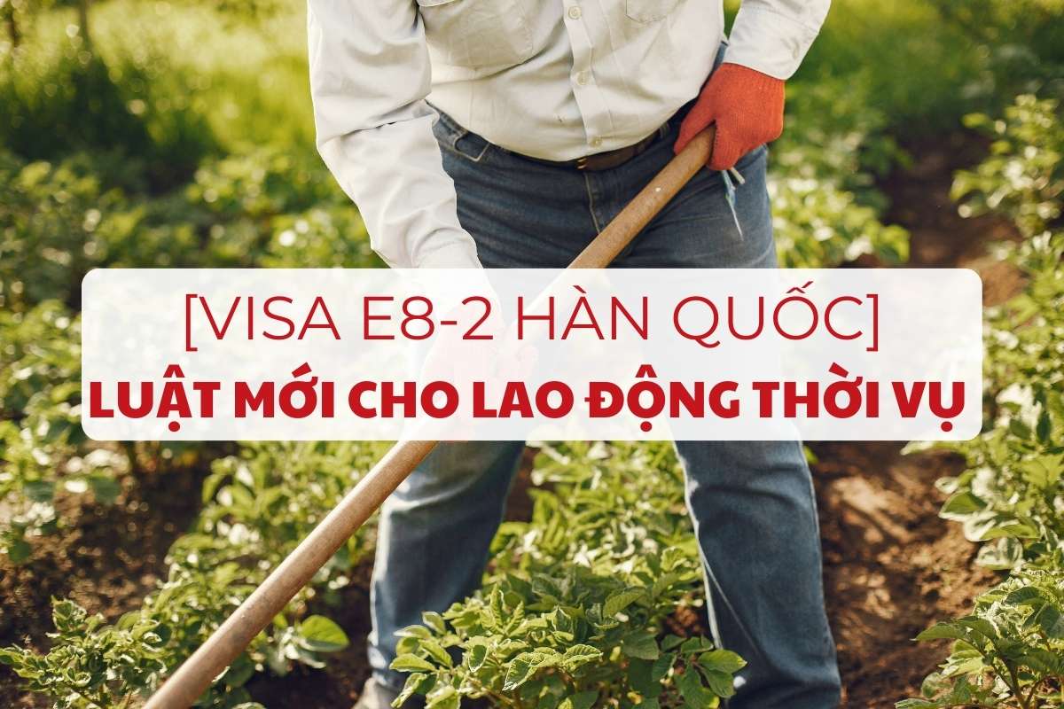 visa-e8-2-han-quoc-la-gi-luat-moi-cho-lao-dong-thoi-vu-1